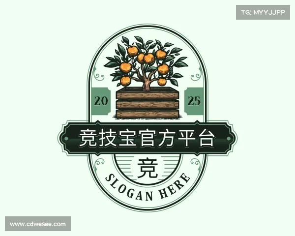 解读竞技宝官方平台